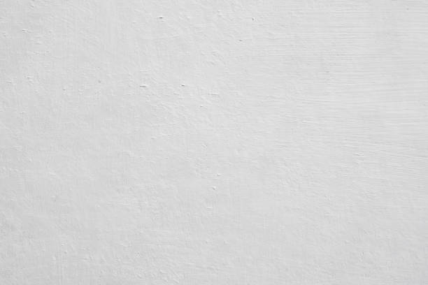 Best Mold Odor Removal Services  in Prestonsburg, KY
