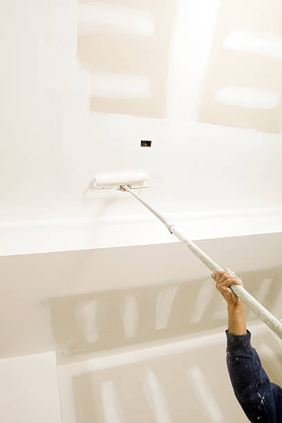 Best Biohazard Mold Removal  in Prestonsburg, KY
